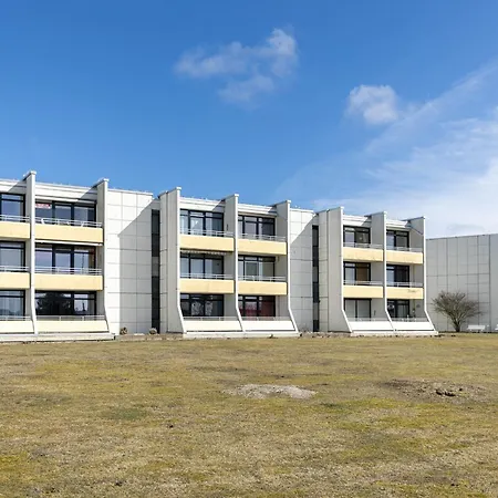 Strandmoewe * Burgtiefe auf Fehmarn