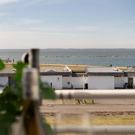 Strandmoewe * Burgtiefe auf Fehmarn