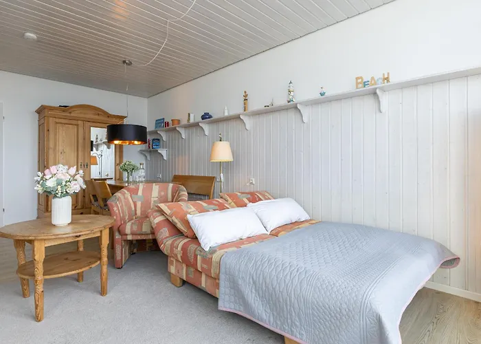 Strandmoewe Burgtiefe auf Fehmarn