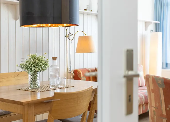 Strandmoewe * Burgtiefe auf Fehmarn