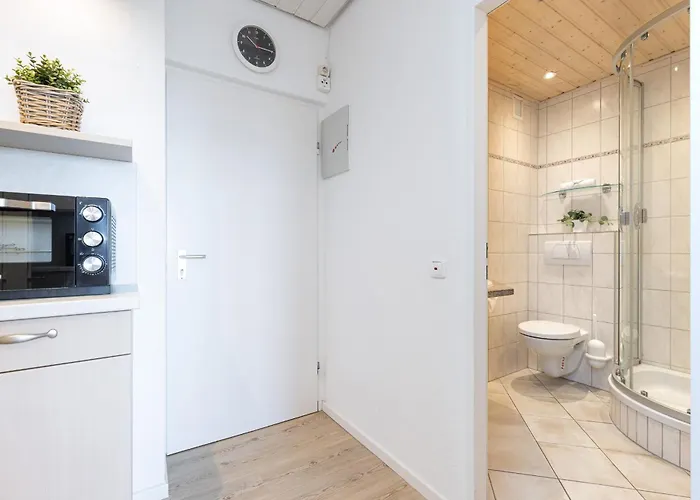 Strandmoewe * Burgtiefe auf Fehmarn