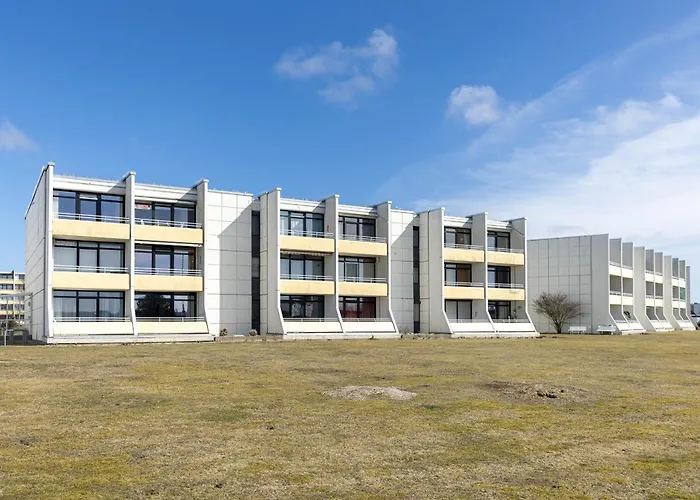 Strandmoewe * Burgtiefe auf Fehmarn